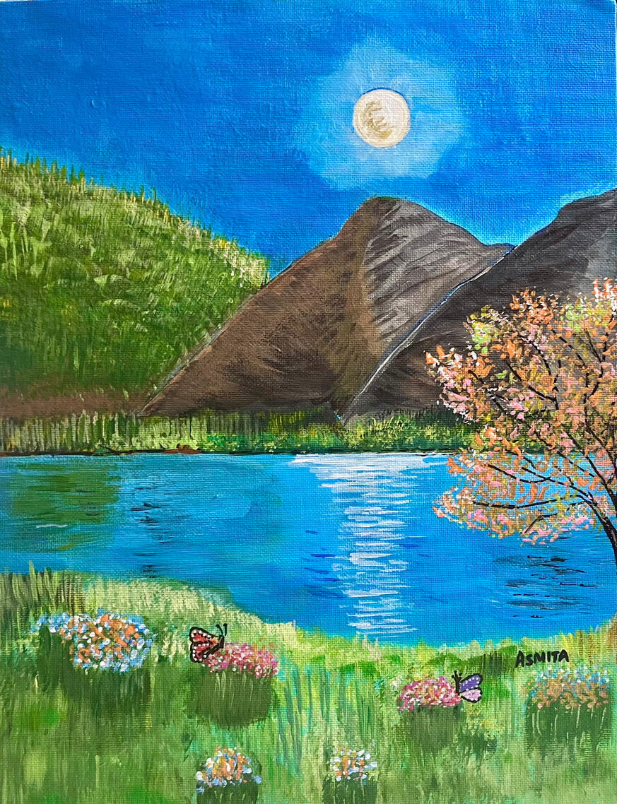 11x17 - Moonlit Meadow